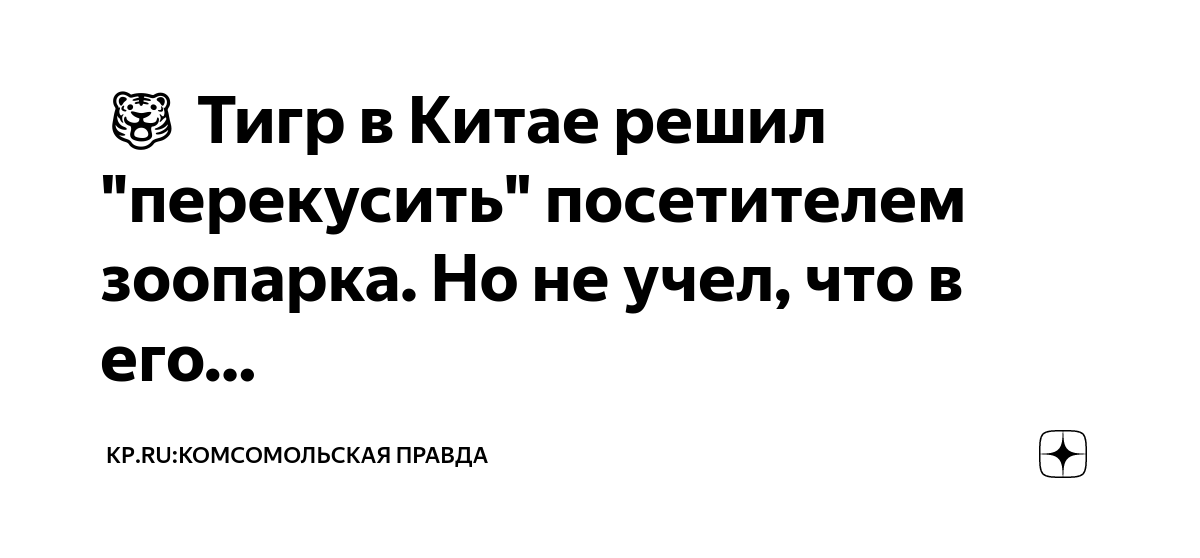 🐯 Тигр в Китае решил "перекусить" посетителем зоопарка. Но не учел, что ...