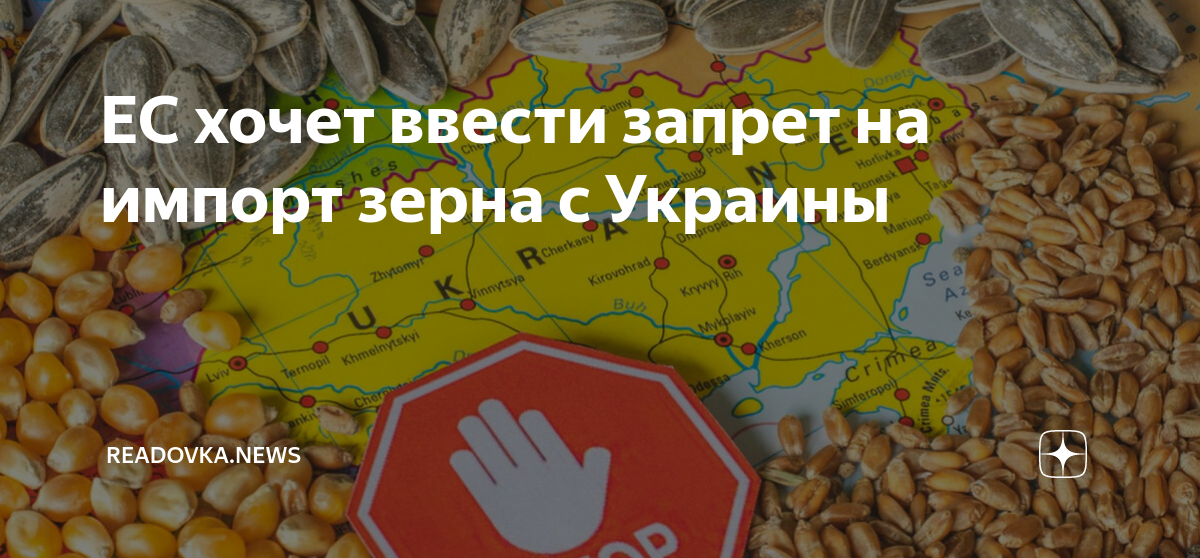 Запрет на ввоз пшеницы. Запрет на импорт зерна. Импорт зерна в ЕС. Импорт украинского зерна. Польша украинское зерно.