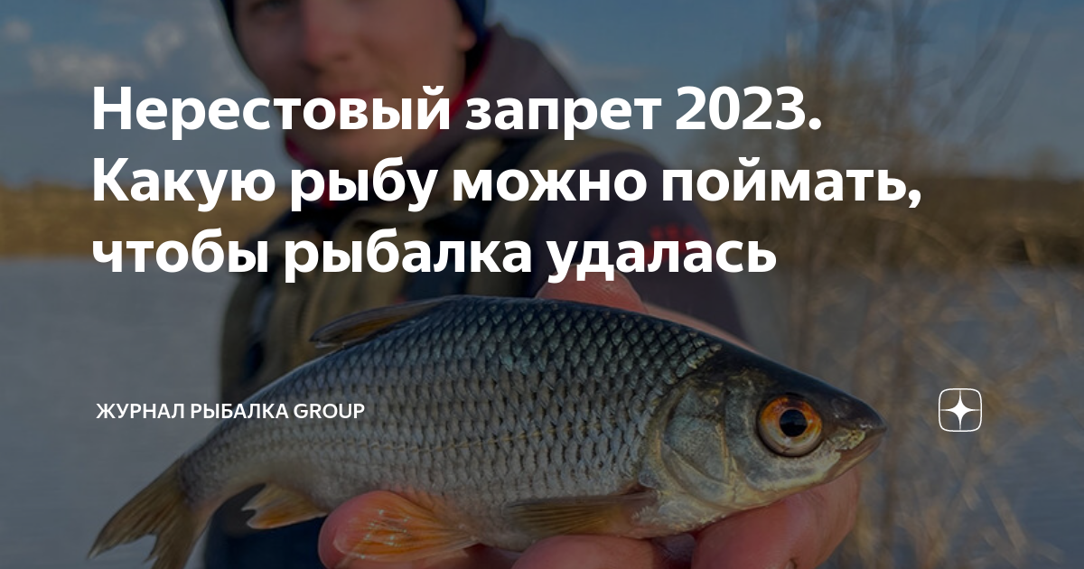 Рыб запрет 2023