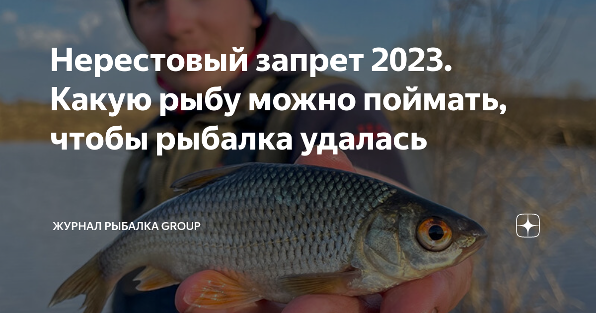 Нерестовый запрет 2023 год