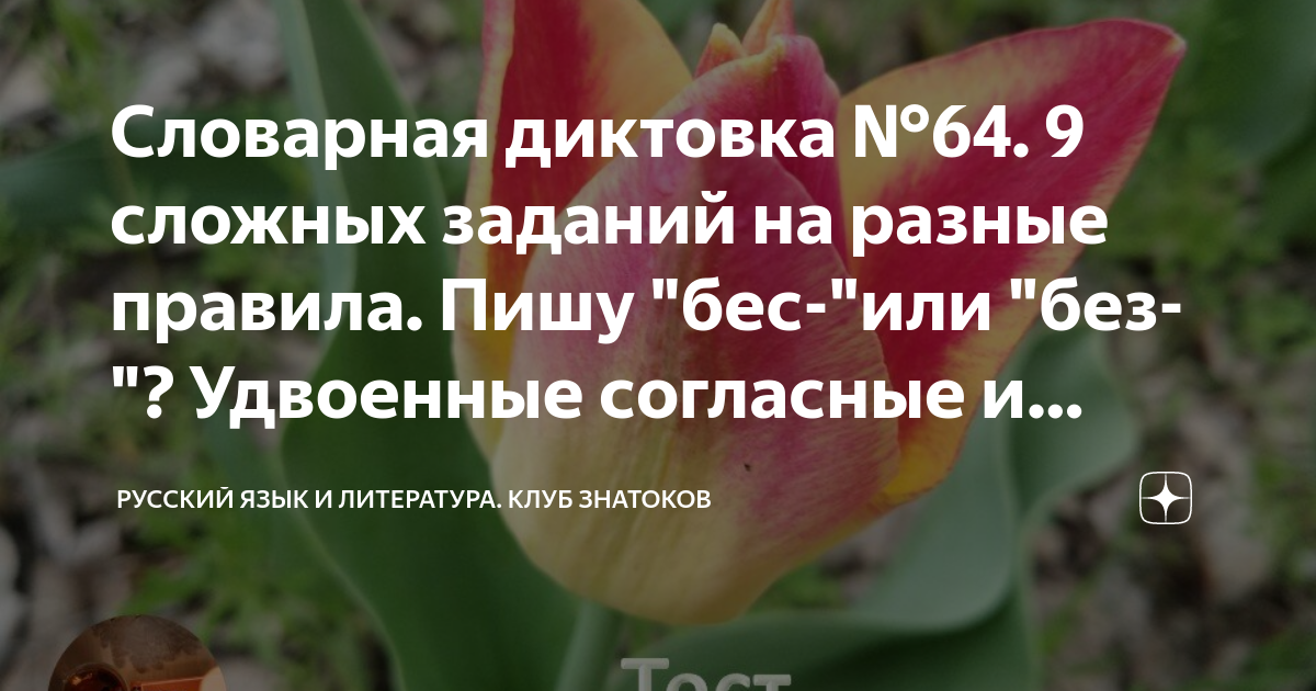 Словарная диктовка №64. 9 сложных заданий на разные правила. Пишу "бес ...