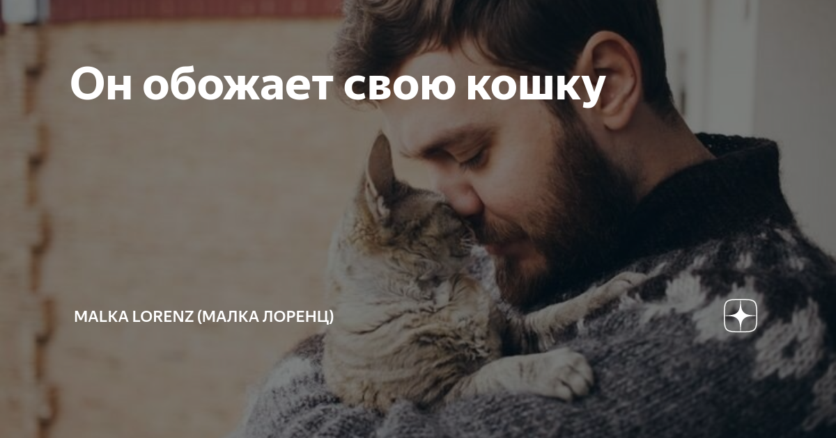 Он обожает свою кошку | Malka Lorenz (Малка Лоренц) | Дзен