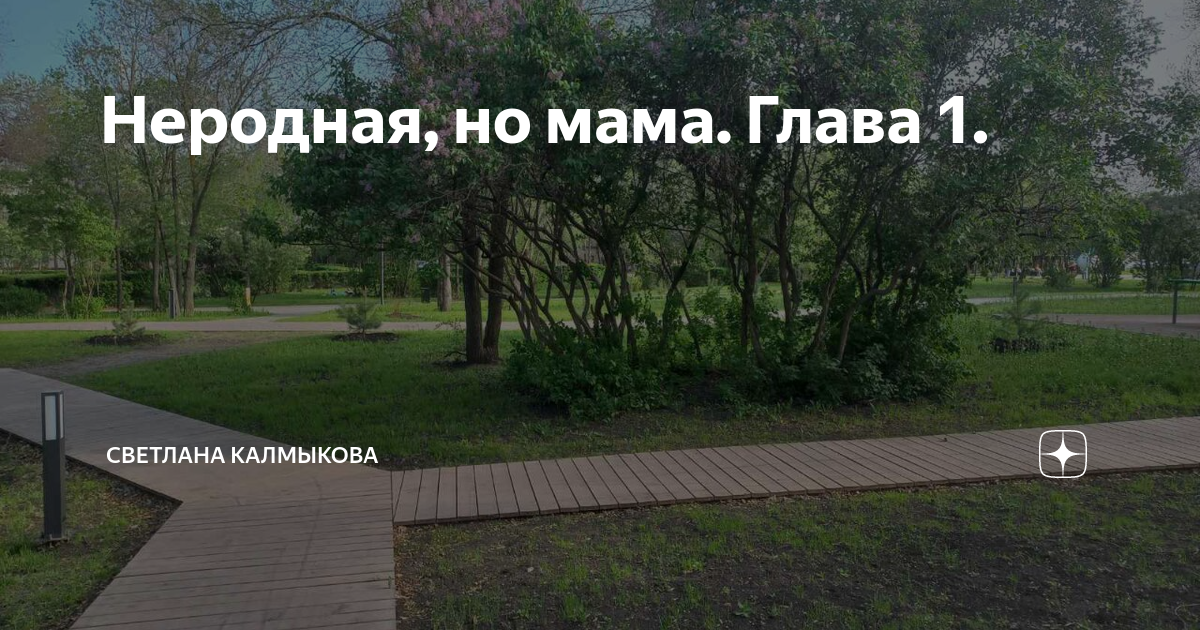 Неродная, но мама. Глава 1. | Светлана Калмыкова | Дзен