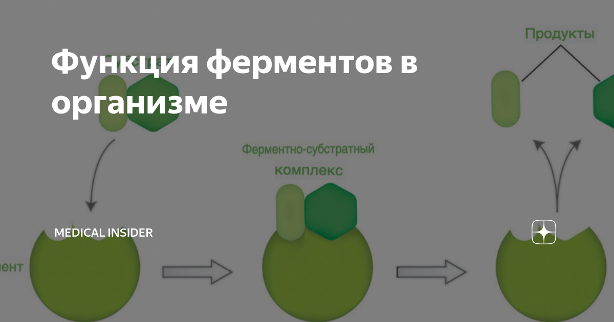 СИНТЕЗ ВИТАМИНОВ