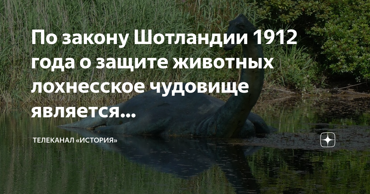 Исторические каналы дзен. Исторические каналы дзен. Телеканал история. Исторические каналы дзен. Яндекс дзен.