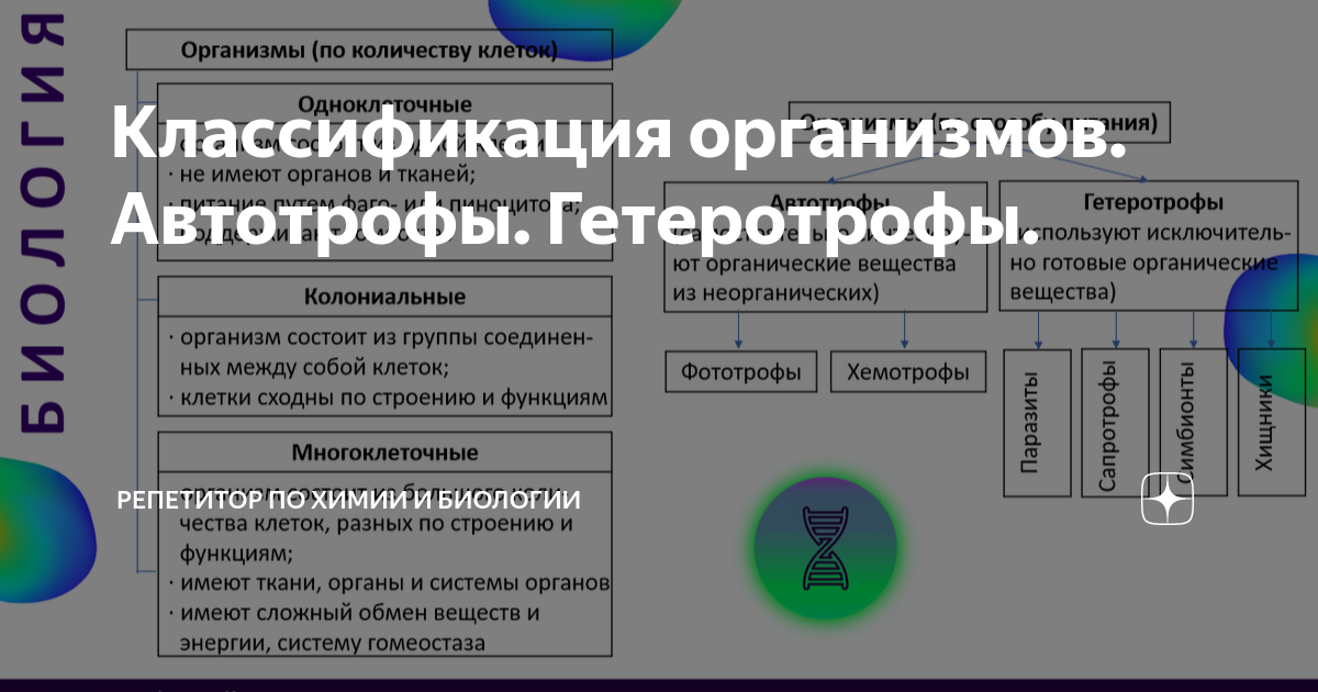 9. Типы питания живых организмов. Автотрофные и гетеротрофные ораганизмы.