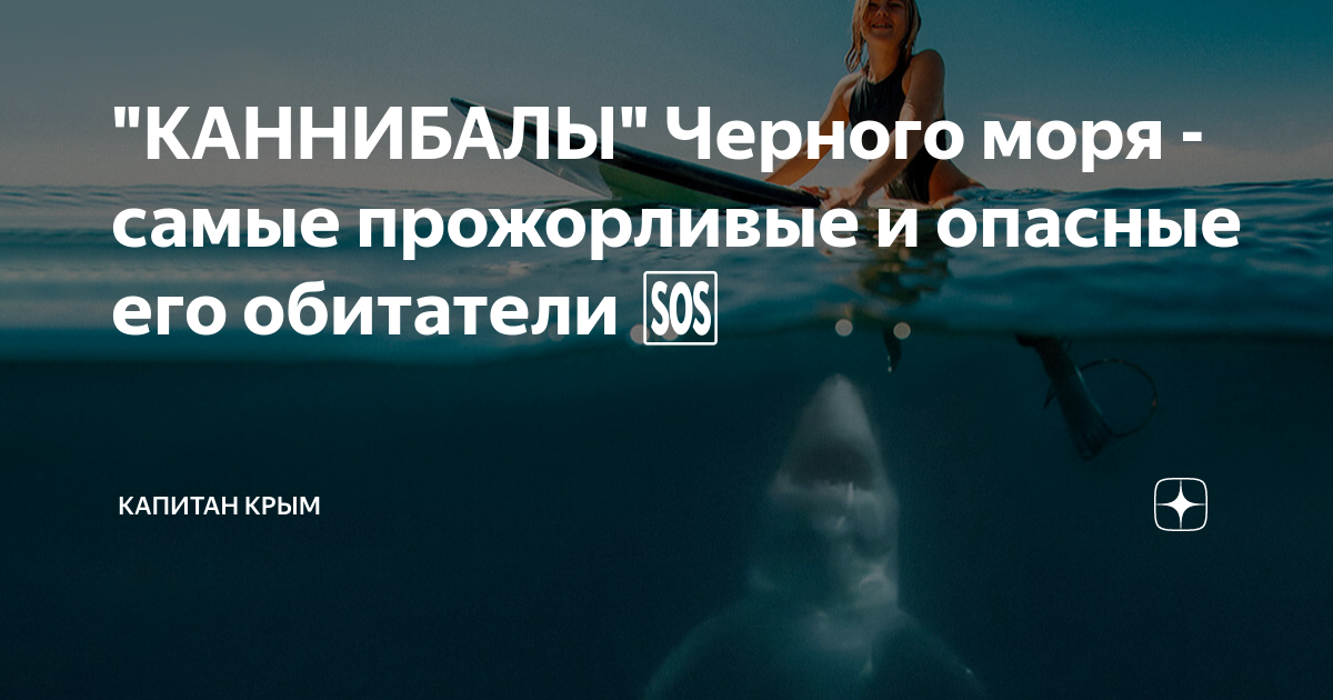 Чем опасно черное море. Самые опасные обитатели черного моря. Кто самый опасный в черном море. Хищники черного моря опасные для человека. Самые опасные Черноморские создание.