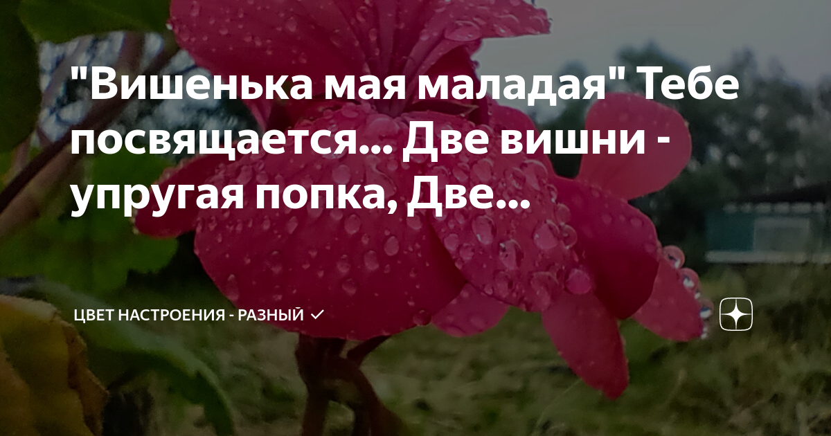 Мухамедзянов: вишенка на торте в виде «Малого глобуса» придаёт сил на остаток сезона - Чемпионат