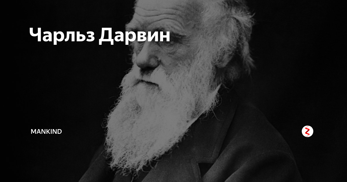 теория старца. теория старца. теория старца. третий рим филофей старец икона. архимандрит кирилл (павлов).