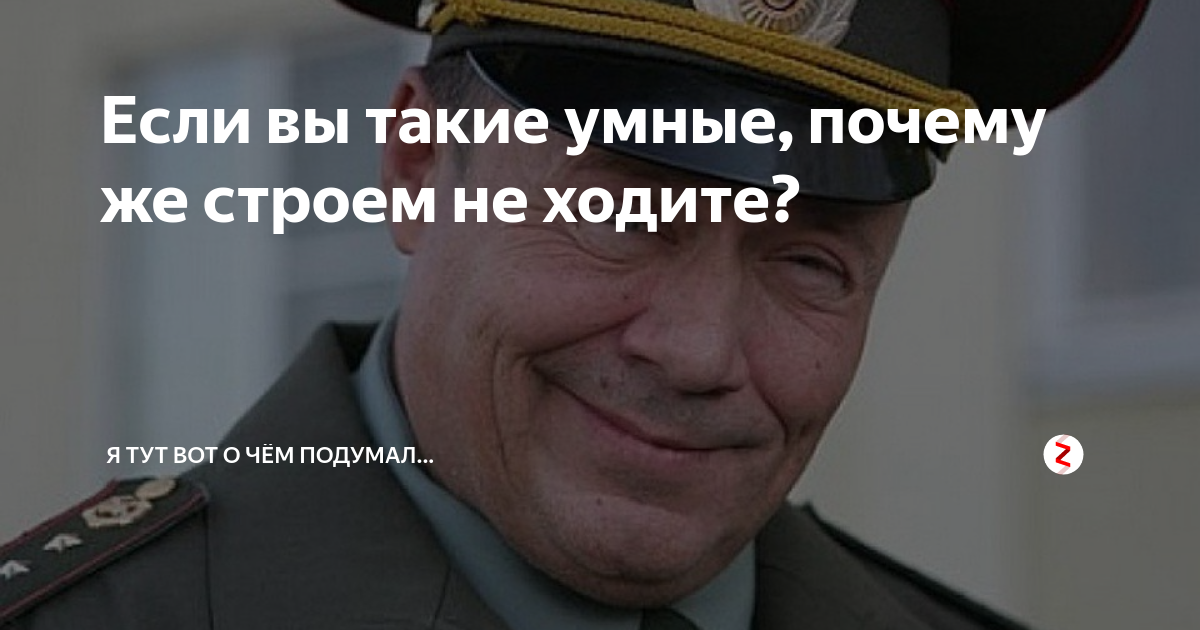 Почему умнее. Если такие умные почему строем не ходите. Фразы Шматко. Если вы такие умные то почему строем. Жена прапорщика Шматко