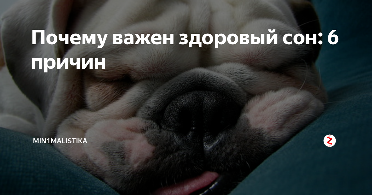 говорим о важном с а н соловьевым