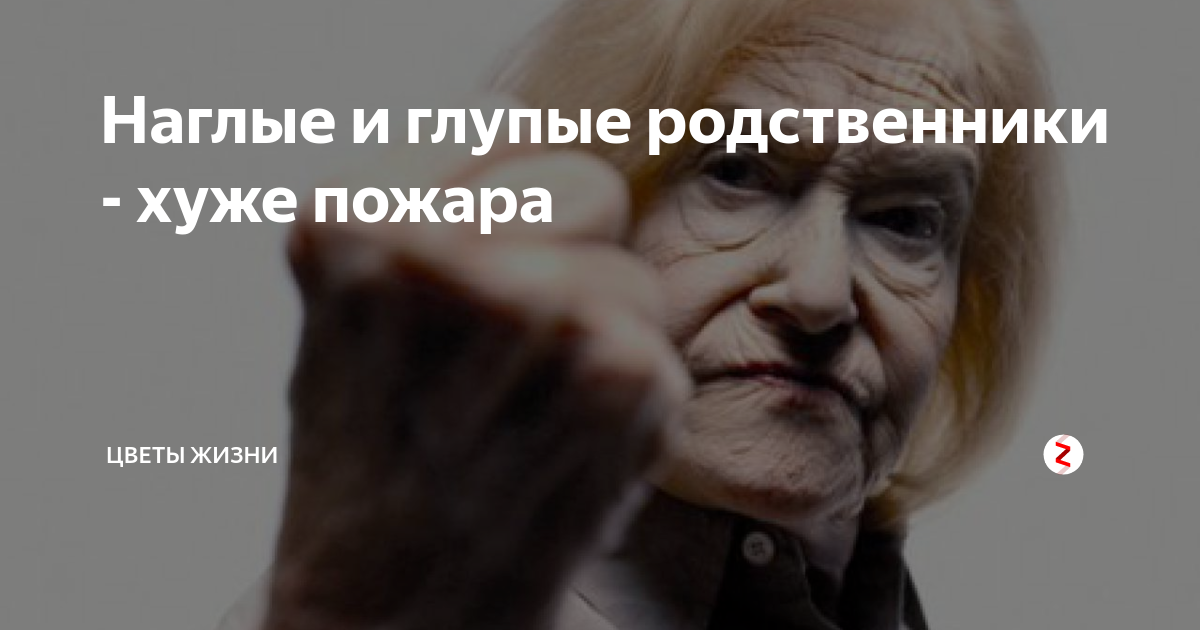 Родственница дзен. Наглые родственники. Наглые и глупые родственники. Истории про наглых родственников. Цитаты про наглых родственников.