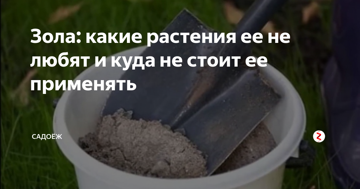 Древесная зола как удобрение для растений