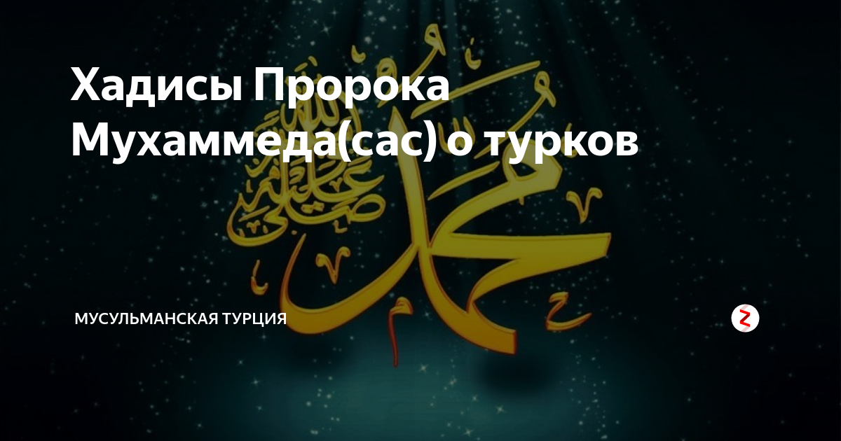 Шейх назим. Потомок пророка мухаммада. Оромгохи мухаммад сас. Шейх саид нур рахимахуллах. Шейх саид нур рахимахуллах.