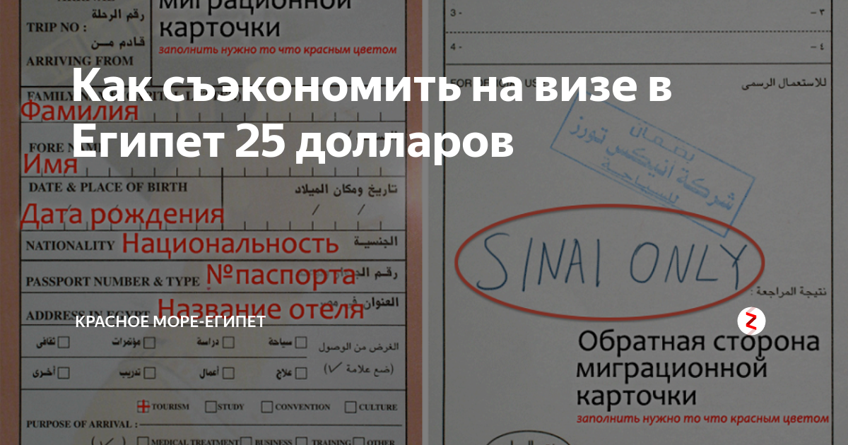 Шарм эль шейх нужна ли виза россиянам. Миграционная карта Шарм Эль Шейх. Миграционная карта Египет Синай Онли. Миграционная карта Египет. Миграционная карта Египет Sinai only.