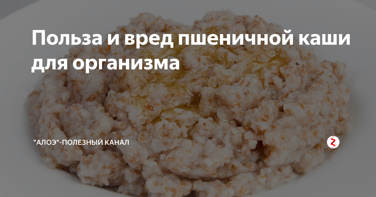 Польза пшеничной каши для организма. Каша пшеничная польза и вред для организма. Пшеничная каша польза. Польза пшеничной крупы. Чем полезна пшеничная каша для организма человека.