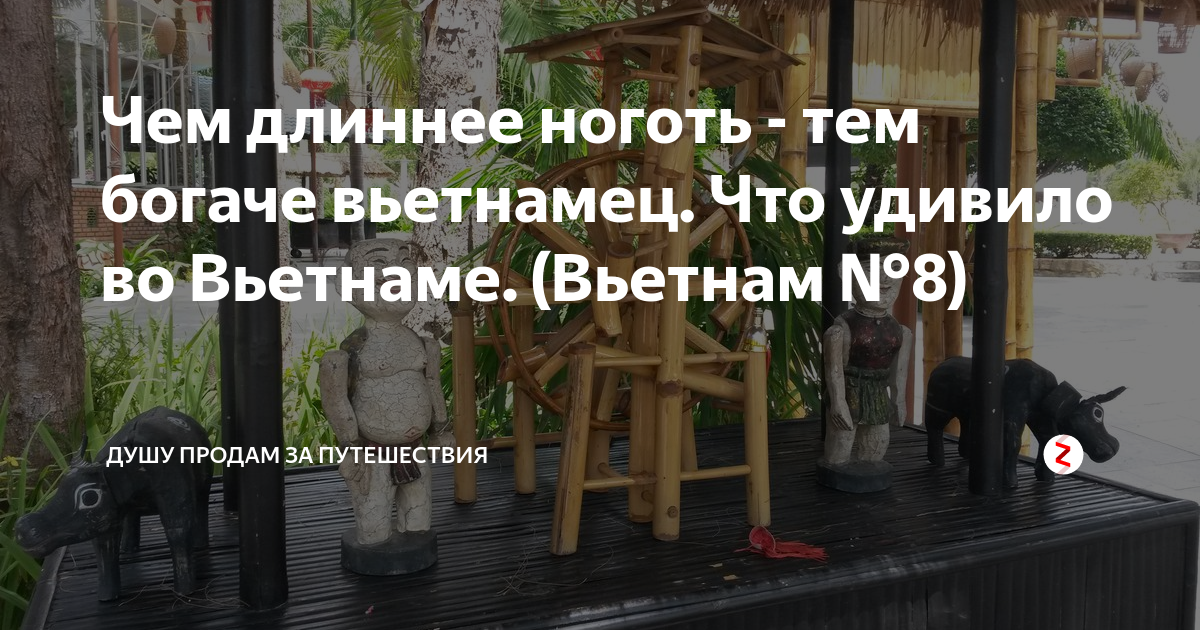 Что делают вьетнамцы после штукатурки в чечне