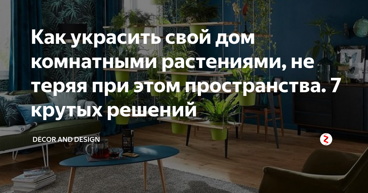 Как украсить свой дом комнатными растениями, не теряя при этом ...