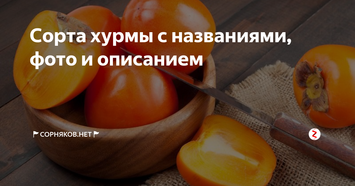 Сорта Хурмы С И Названиями На Русском Языке - 63 фото