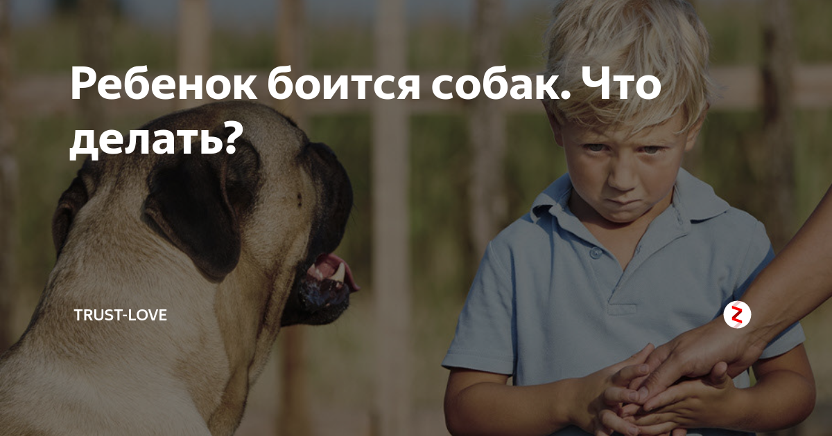 Ребенок боится собак что делать. Домашние животные для детей. Ребенок боится собак что делать. Детский страх животных. Мальчик испугался собаки.