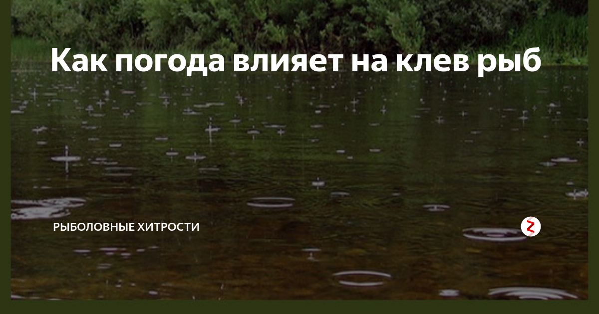 как влияет погода на обитателей водоемов, как влияет погода на клев, при каком ветре клев рыбы лучше, при каком ветре не клюет рыба