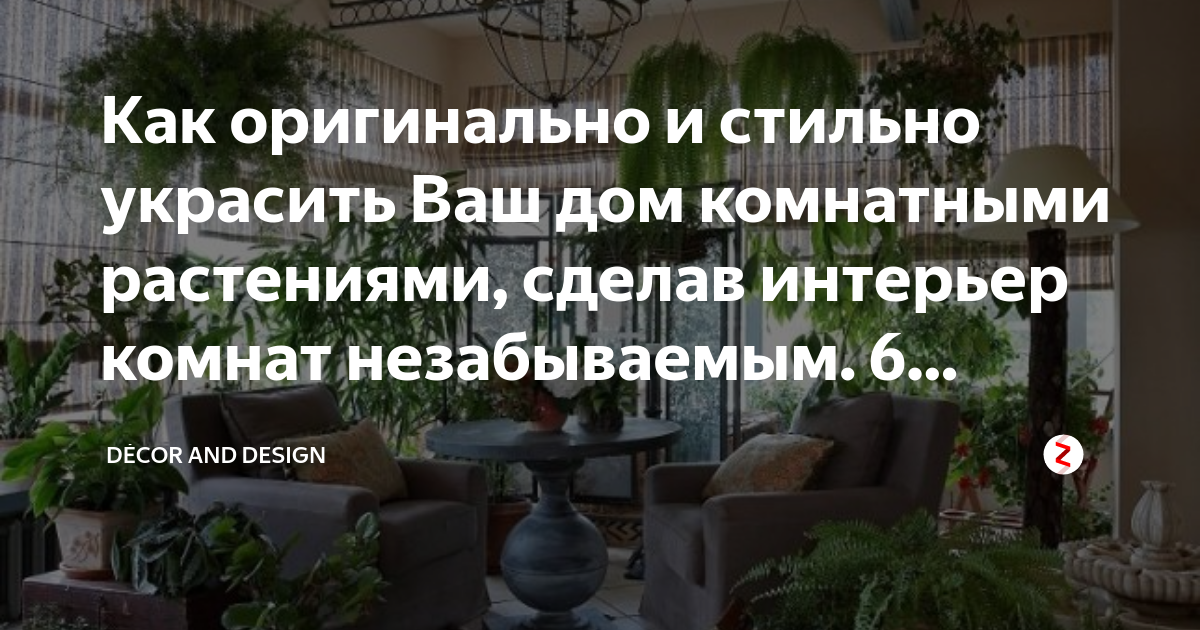 Как оригинально и стильно украсить Ваш дом комнатными растениями ...