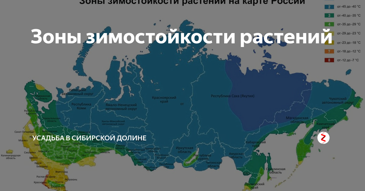 Зона северная звезда в россии где. Зона зимостойкости 4. Зона морозостойкости 6. Карта зон морозостойкости России. 2 Зона морозостойкости.