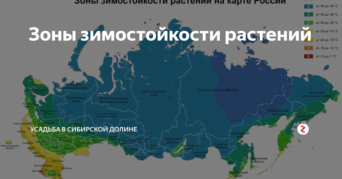 Зона зимостойкости 4. Зона морозостойкости 6. Карта зон морозостойкости России. 2 Зона морозостойкости. Зона северная звезда в россии где