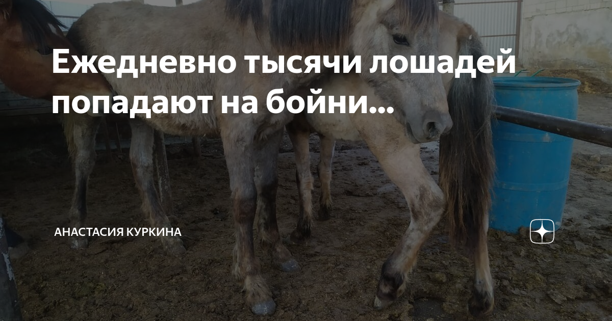 ведь от работы дохнут лошади в плугу