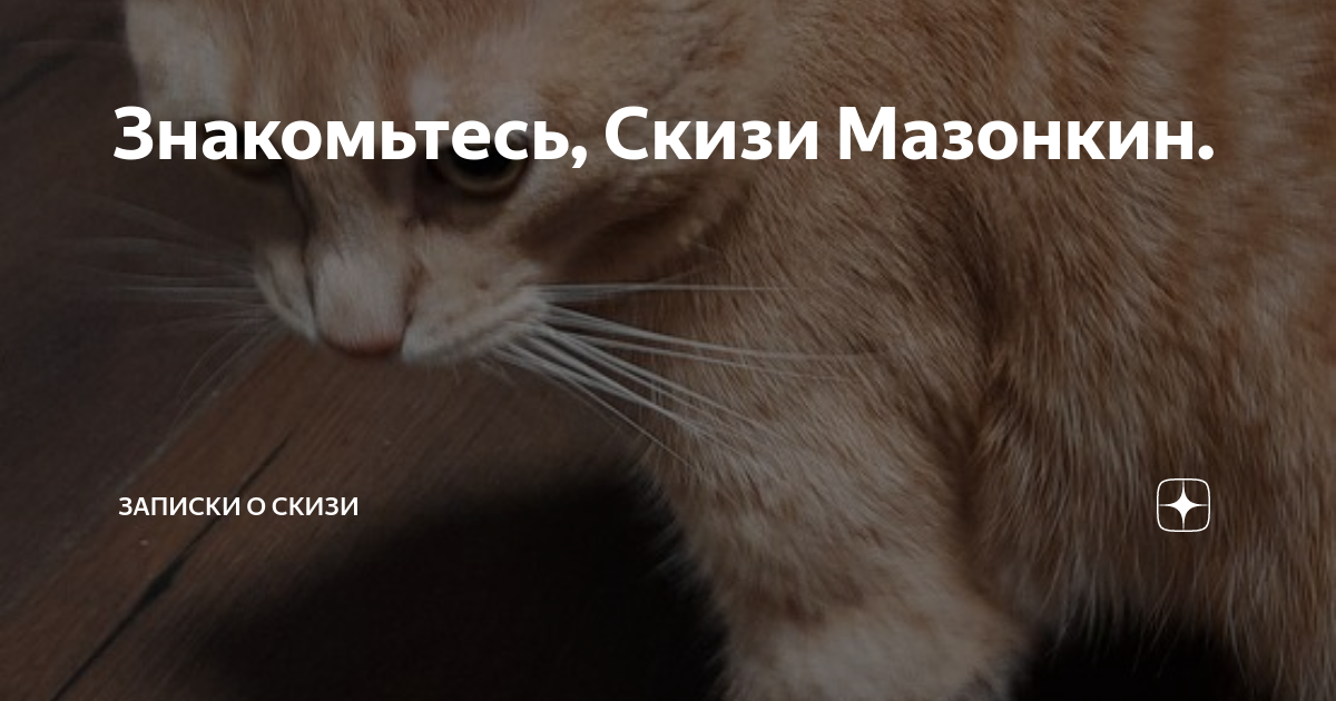 Скизи мазанкин кот дзен