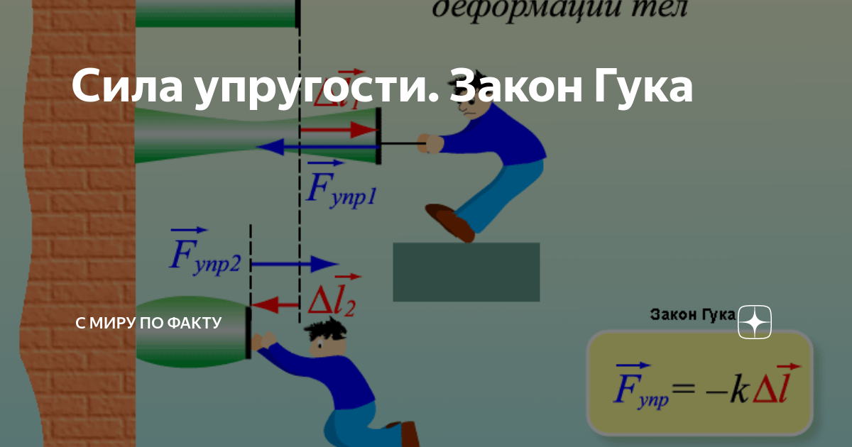 Сила упругости закон гука примеры Сила упругости. Закон Гука С миру по факту Дзен