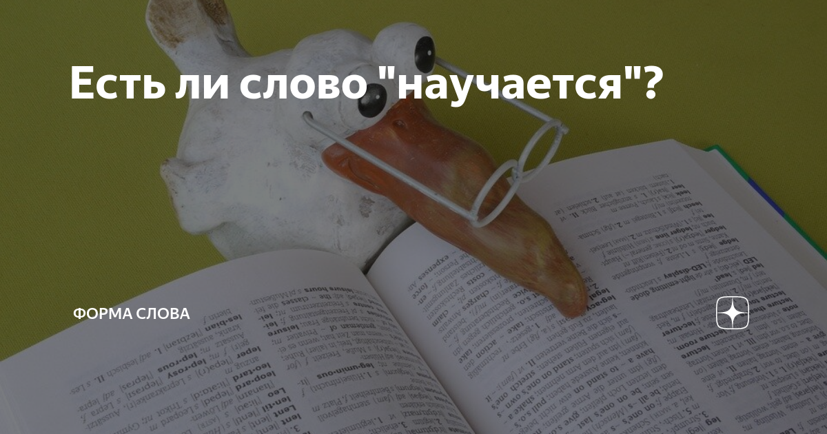 что такое слово децл
