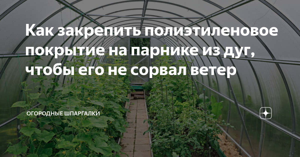 Как закрепить полиэтиленовое покрытие на парнике из дуг, чтобы его не сорвал вет