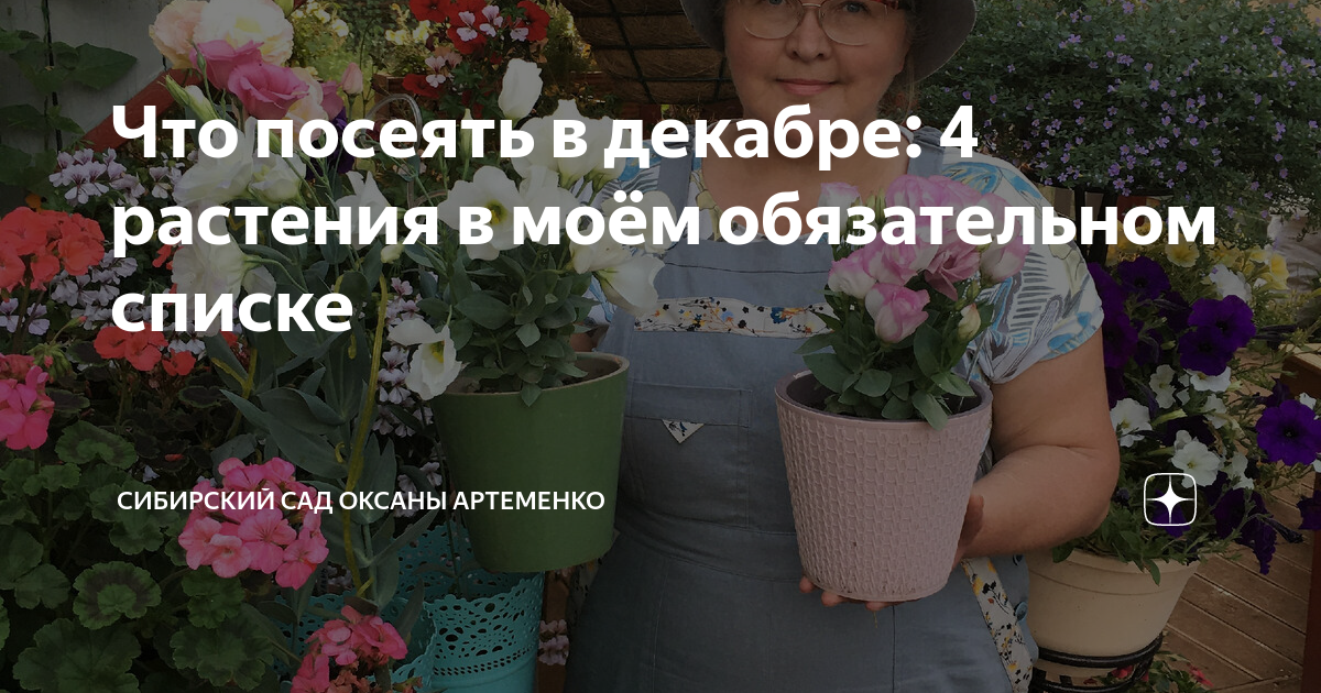 в декабре в декабре все деревья в серебре почему и отчего