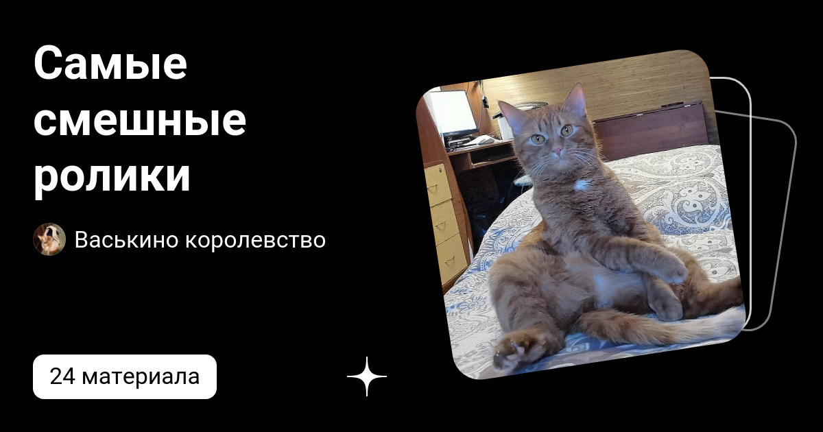Самые смешные ролики | Васькино королевство | Дзен