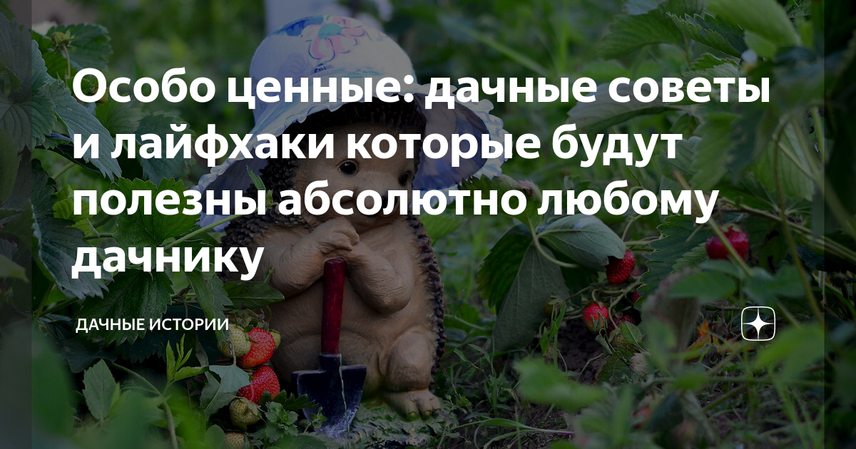 Особо ценные: дачные советы и лайфхаки которые будут полезны абсолютно ...