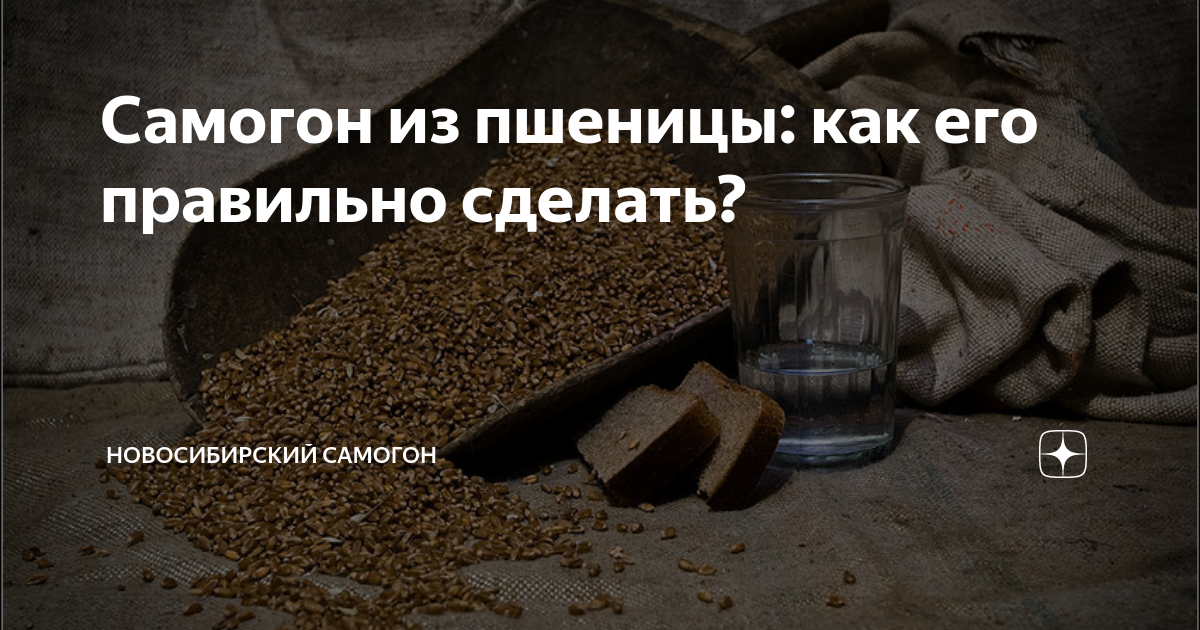 Пшеничный самогон рецепт. Самогон из пшеницы без дрожжей в домашних условиях. Самогон на пшенице форум.