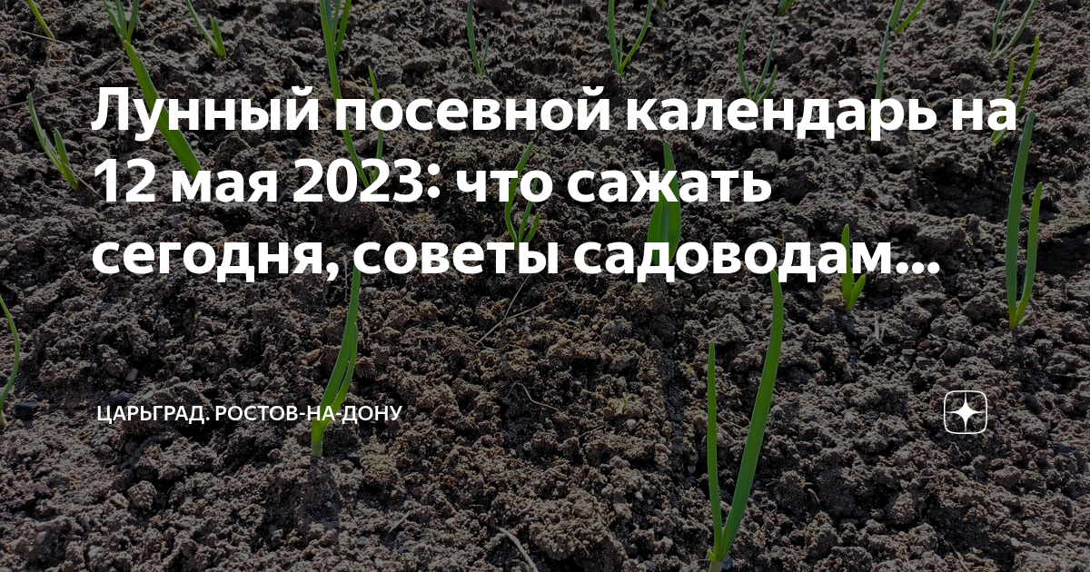 Посевной календарь на 2023