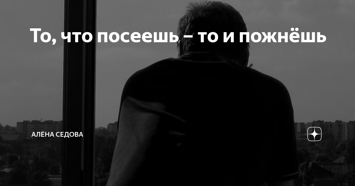 То, что посеешь – то и пожнёшь | Алёна Седова Рассказы Истории | Дзен