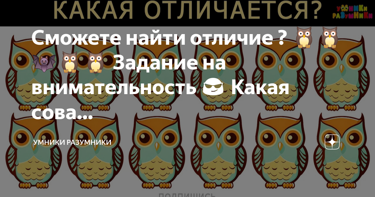 Сможете найти отличие ? 🦉🦉🦇🦉🦉 Задание на внимательность 😎 Какая сова ...