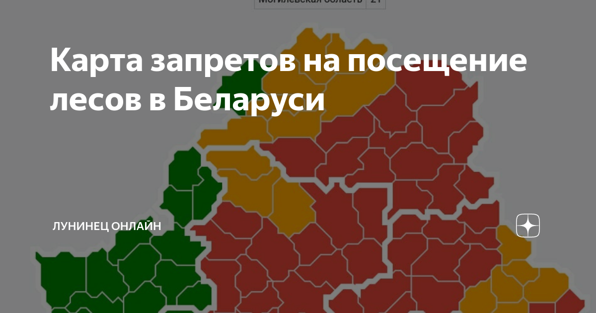 Запрет на посещение лесов. Ограничения на посещение лесов карта. Запрет на посещение лесов в хабаровском крае схема. Районы беларуси. Карта запретов на посещение лесов.