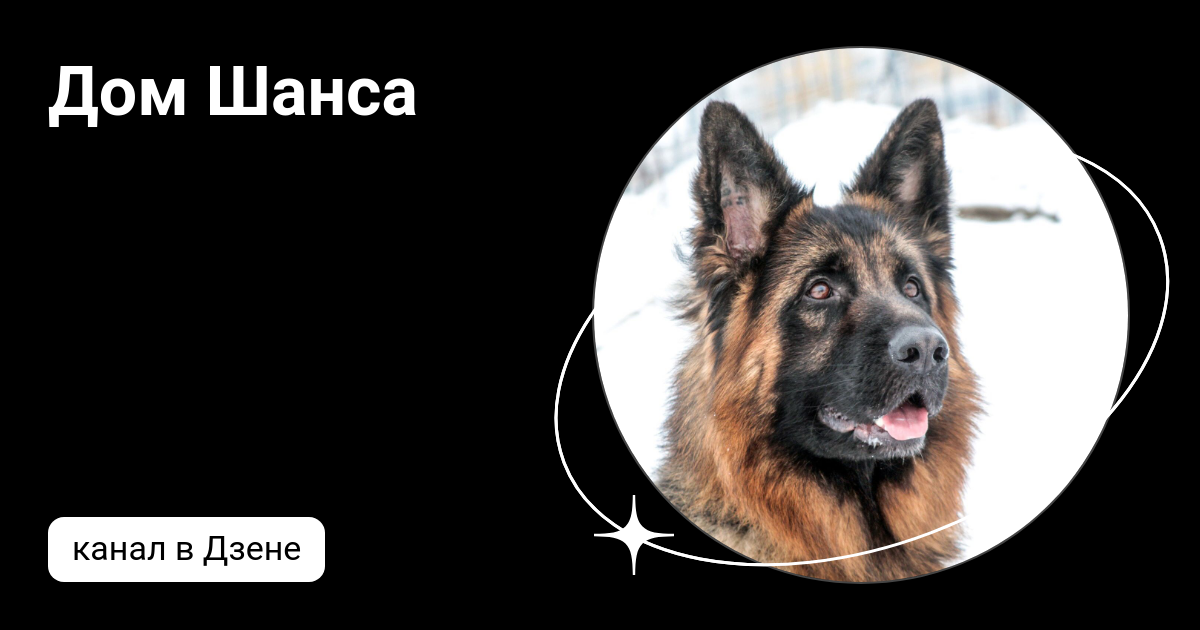 Tupa splash. шанс дзен. шанс дзен. шанс дзен. шанс дзен.