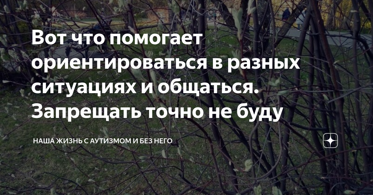 Вот что помогает ориентироваться в разных ситуациях и общаться ...