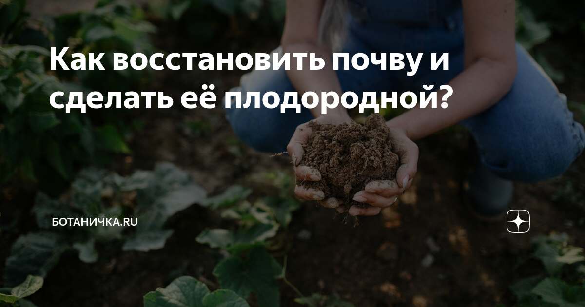 Улучшение почвы. Как восстановить почву. Как восстановить почву и сделать её плодородной?. Как восстановить почву. Улучшение участка.