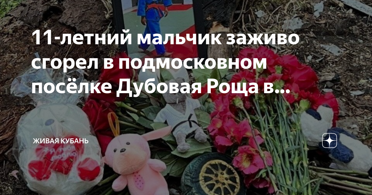 в дубовой роще сожгли мальчика. в дубовой роще сожгли мальчика. пожар в новой москве. в дубовой роще сожгли мальчика. в дубовой роще сожгли мальчика.
