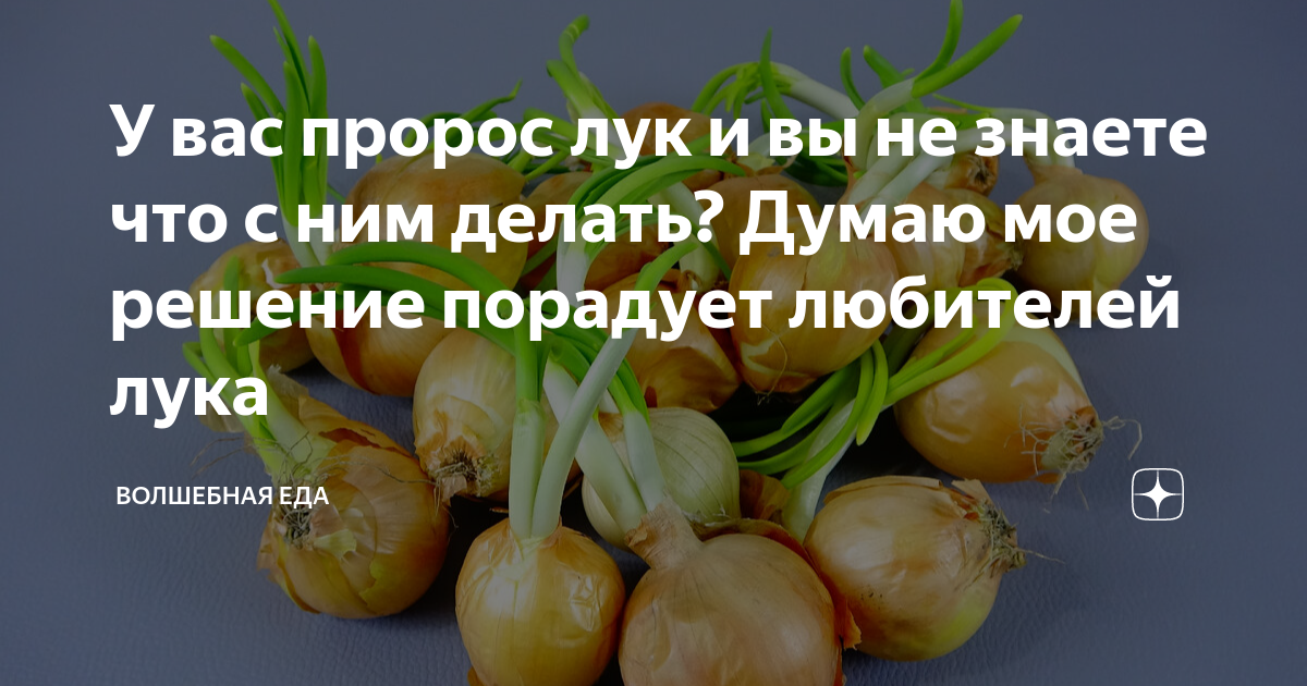 Почему лук не прорастает. Что делать с проросшим луком. Лук проросток название.