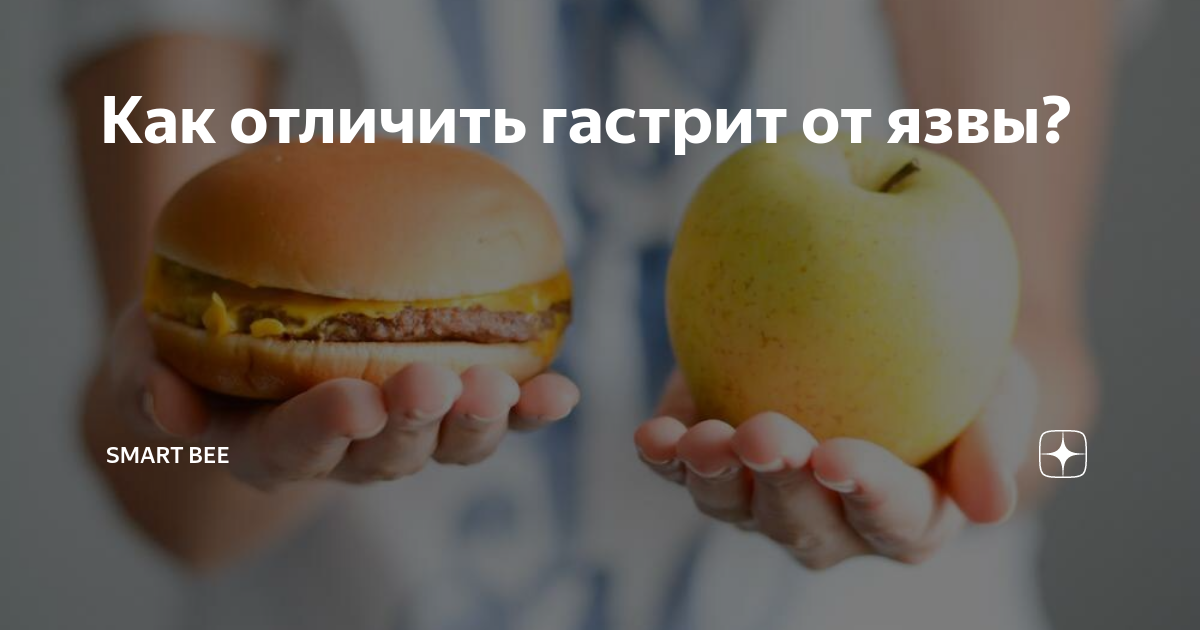 Как отличить гастрит от язвы? | Светлана Калугина|Smart Bee | Дзен