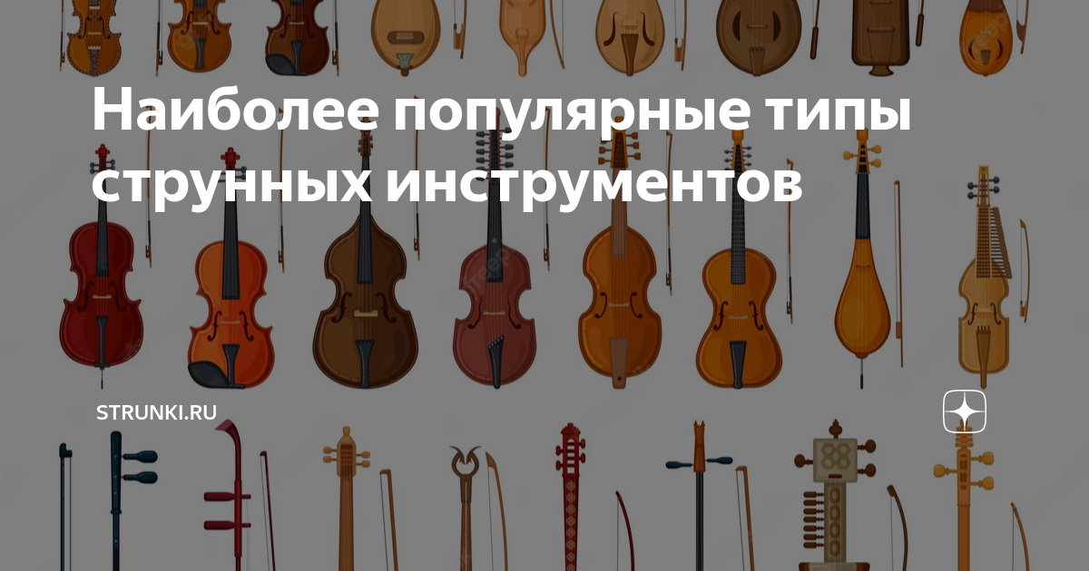 Наиболее популярные типы струнных инструментов | Strunki.ru | Дзен