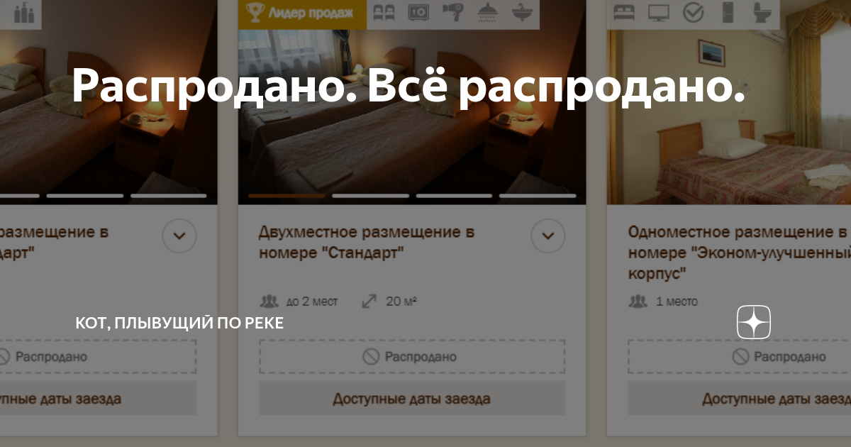 Распродано. Всё распродано. | Кот, плывущий по реке | Дзен
