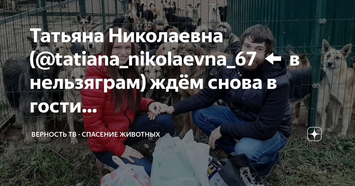 Верность тв спасение животных. Социальный ролик о бездомных животных для детей. Верность тв спасение животных. Верность тв спасение животных. Верность тв спасение животных.